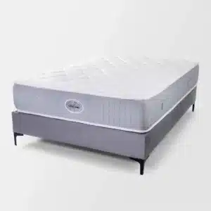 مرتبة بدلاين كونكورد